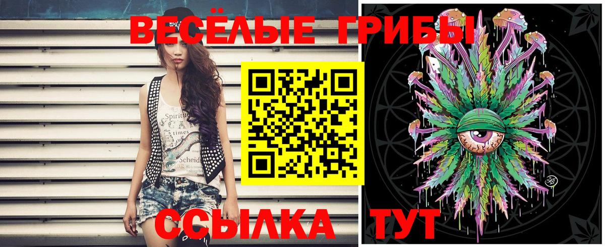 Кировск  Галлюциногенные грибы GOLDEN TEACHER  Вход с VPN  Псилоцибиновые грибы Psilocybe 